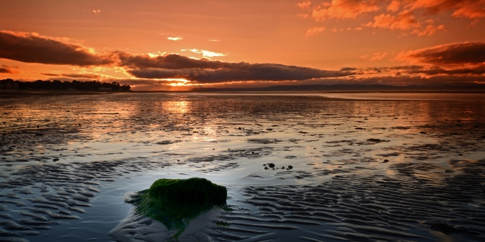 Soinspired Web Technology Natural Scotland Wildlife Photography