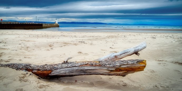 Soinspired Web Technology Natural Scotland Wildlife Photography